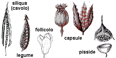 b08